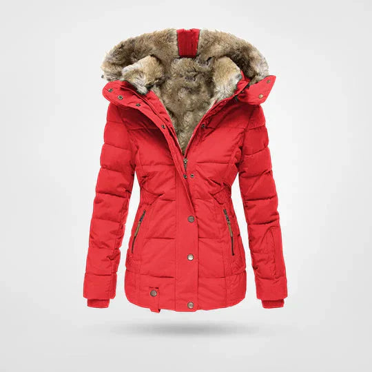 Winterjacke mit Futter und Kapuze für Damen